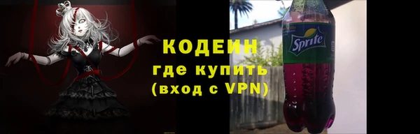 индика Корсаков
