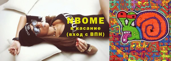 мдпв Козельск
