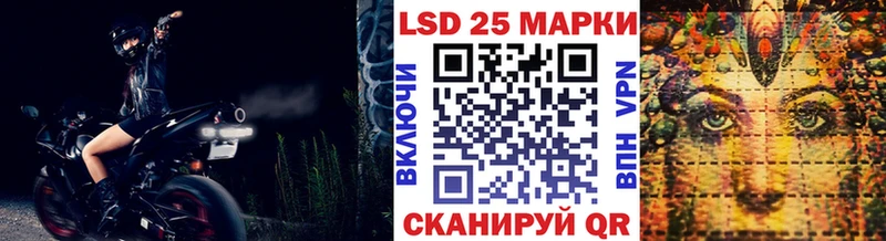 где можно купить наркотик  Новодвинск  Марки 25I-NBOMe 1,5мг 