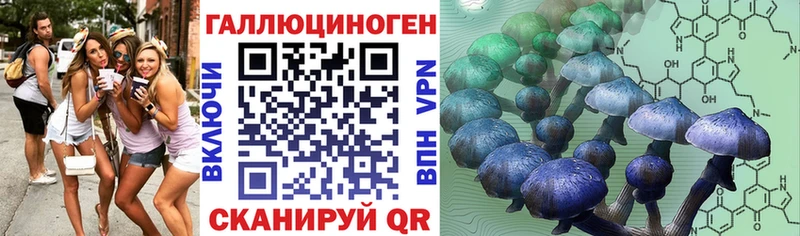 Псилоцибиновые грибы MAGIC MUSHROOMS  где продают   кракен онион  Новодвинск 